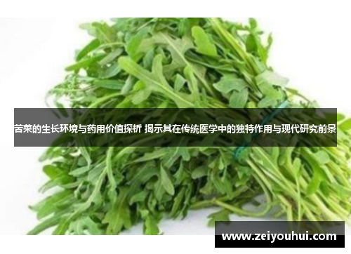 苦菜的生长环境与药用价值探析 揭示其在传统医学中的独特作用与现代研究前景 苦菜的生长环境与药用价值探析 揭示其在传统医学中的独特作用与现代研究前景