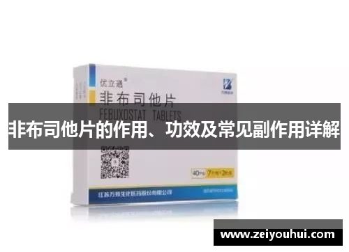 非布司他片的作用、功效及常见副作用详解